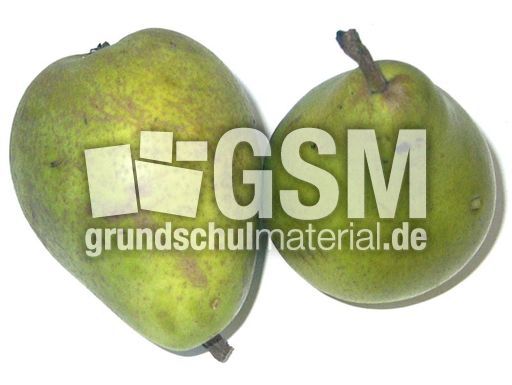 zwei-Birnen.JPG
